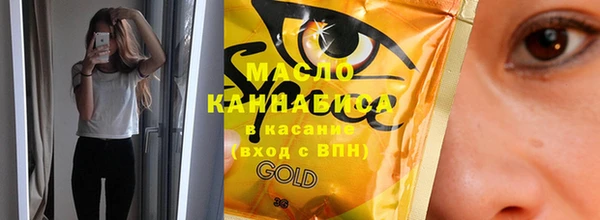 тгк Каменка