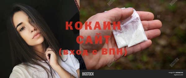 МДПВ Каменногорск