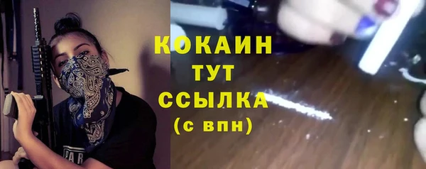 МДПВ Каменногорск