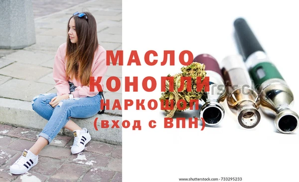 МДПВ Каменногорск