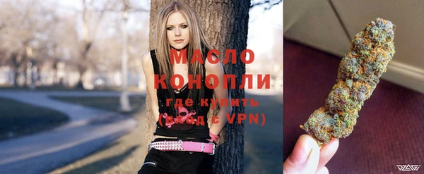 тгк Каменка