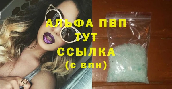 тгк Каменка