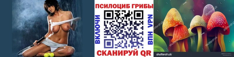 Галлюциногенные грибы Magic Shrooms  Купить где  Жуков 